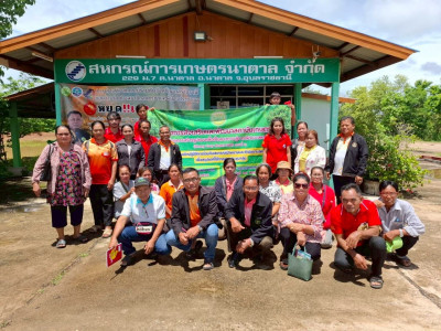 โครงการประชุมเชิงปฏิบัติการ หลักสูตร ... พารามิเตอร์รูปภาพ 1